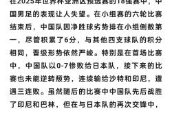 世界杯预选赛：蓝队晋级至决赛，引发球迷热议的简单介绍